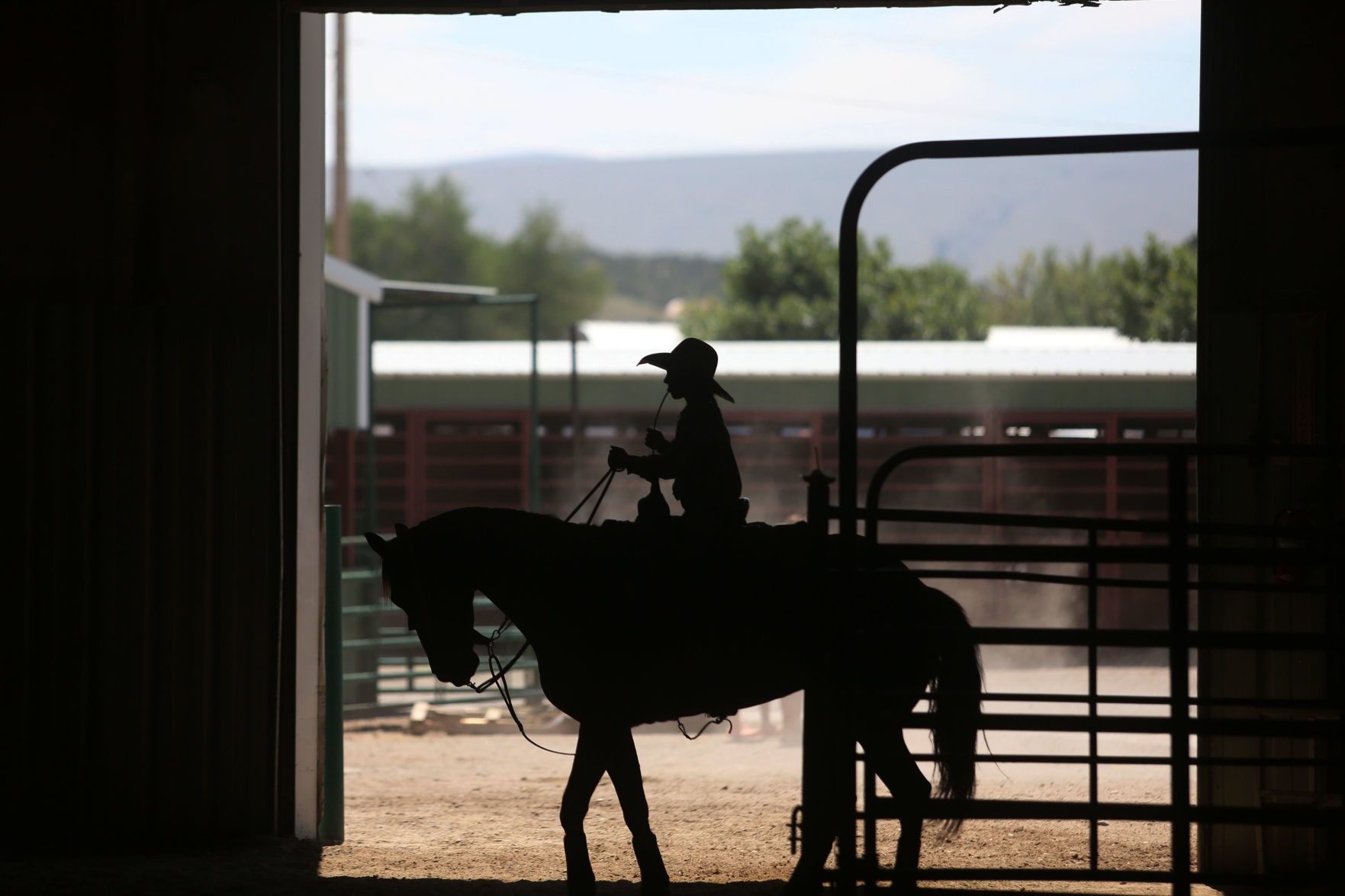 Youth Rodeo